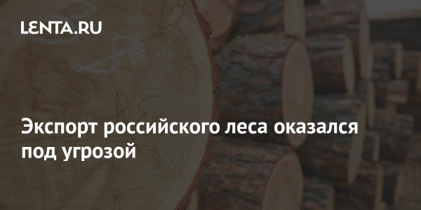 Экспорт российского леса оказался под угрозой