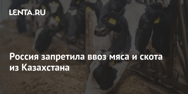 Россия запретила ввоз мяса и скота из Казахстана