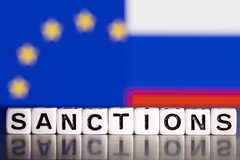 В Китае рассказали о «боли» Европы из-за антироссийских санкций